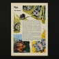 Preview: Felix mit Bessy Nr. 214 / Z1-