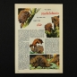 Preview: Felix mit Bessy Nr. 300 / Z0-