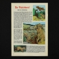 Preview: Felix mit Bessy Nr. 316 / Z0-
