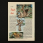 Preview: Felix mit Bessy Nr. 326 / Z0-
