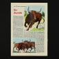 Preview: Felix mit Bessy Nr. 328 / Z0-