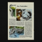 Preview: Felix mit Bessy Nr. 225 / Z0-1
