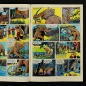 Preview: Lasso 67 - Roy Tiger / Z0-1