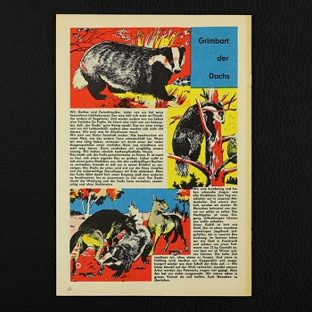 Felix mit Bessy Nr. 155 / Z0-