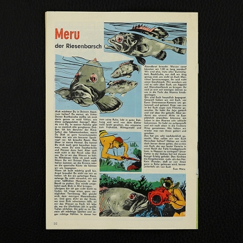 Felix mit Bessy Nr. 242 / Z0-