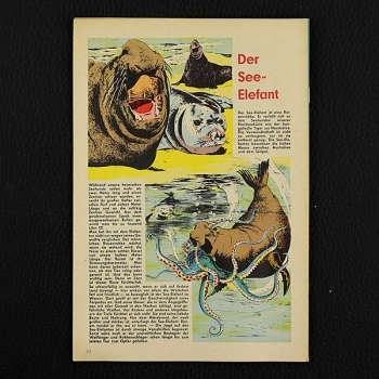 Felix mit Bessy Nr. 142  / Z0-