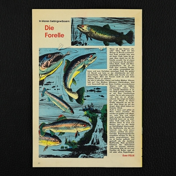 Felix mit Bessy Nr. 183 / Z0-