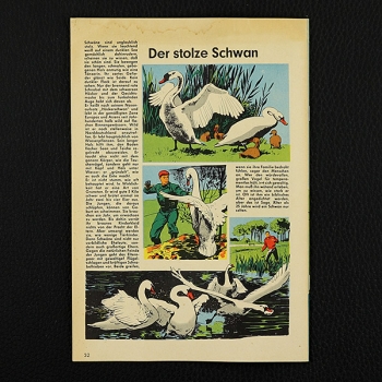 Felix mit Bessy Nr. 201 / Z0-