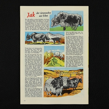 Felix mit Bessy Nr. 314 / Z0-