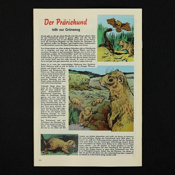 Felix mit Bessy Nr. 316 / Z0-