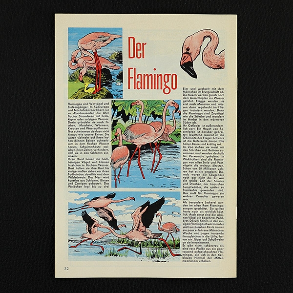 Felix mit Bessy Nr. 304 / Z0-