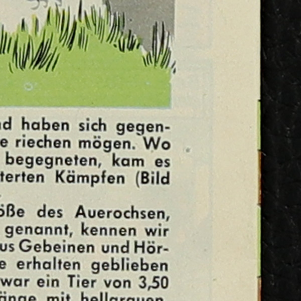 Felix mit Bessy Nr. 328 / Z0-