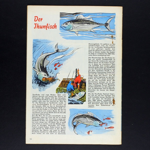 Felix mit Bessy Nr. 303 / Z2